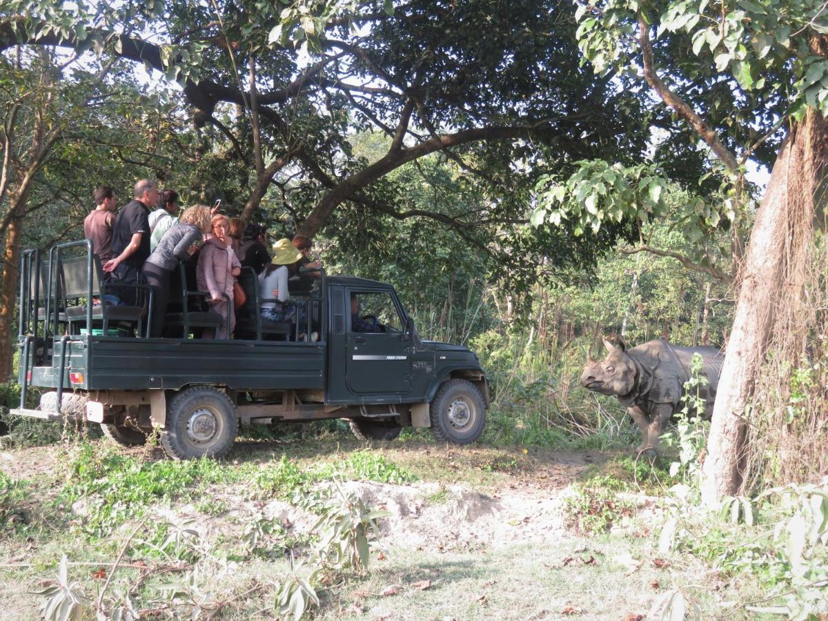 Eden Jungle Resort Sauraha Εξωτερικό φωτογραφία