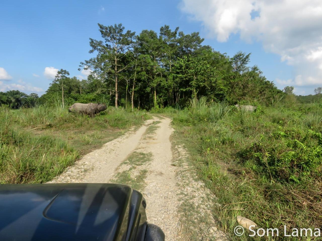 Eden Jungle Resort Sauraha Εξωτερικό φωτογραφία