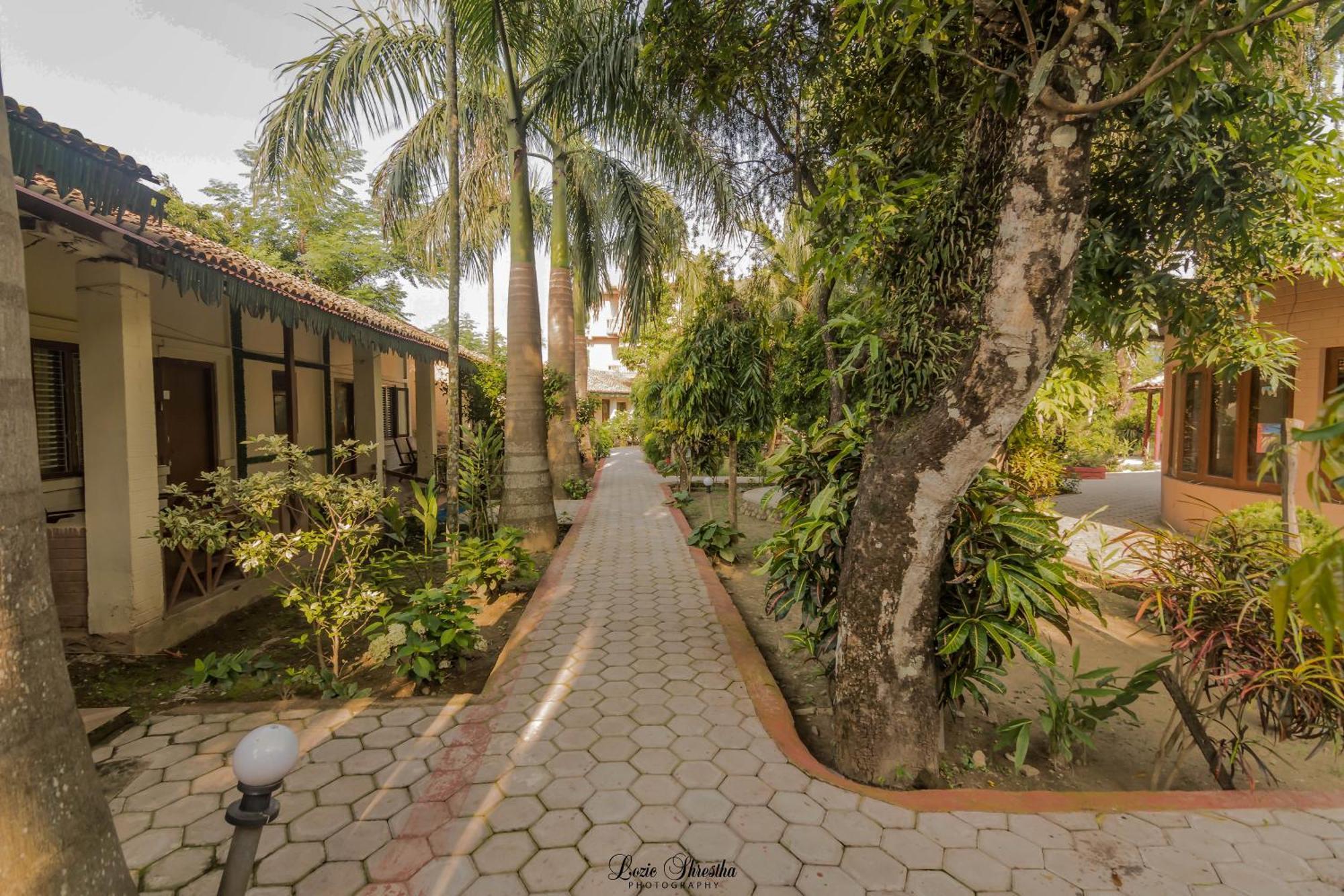 Eden Jungle Resort Sauraha Εξωτερικό φωτογραφία