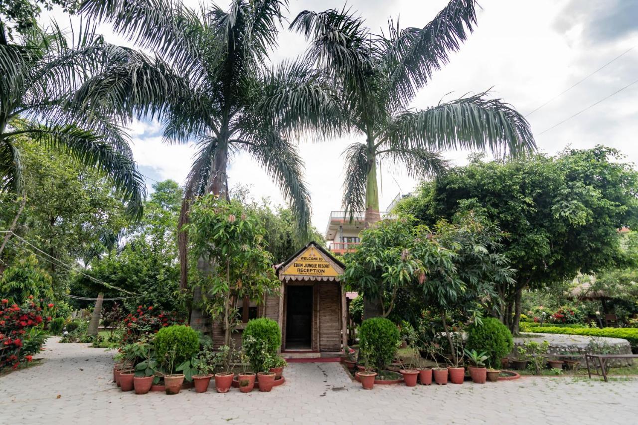 Eden Jungle Resort Sauraha Εξωτερικό φωτογραφία