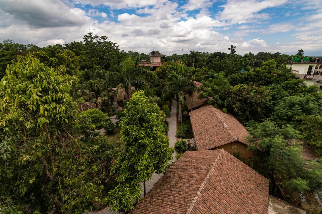 Eden Jungle Resort Sauraha Εξωτερικό φωτογραφία